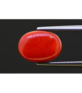 5.76 cts Natural Coral - Moonga (SKU:90157615)