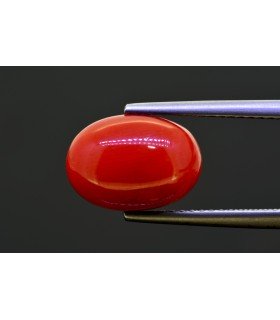 5.3 cts Natural Coral (Moonga)