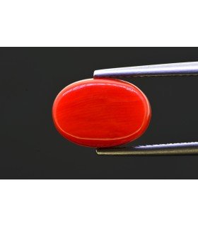 5.3 cts Natural Coral - Moonga (SKU:90157622)