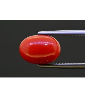 5.23 cts Natural Coral (Moonga)