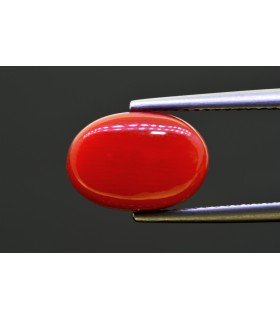 5.23 cts Natural Coral - Moonga (SKU:90157639)