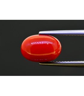 5.12 cts Natural Coral (Moonga)