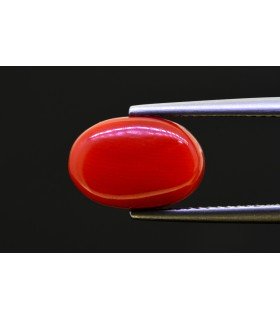 5.12 cts Natural Coral - Moonga (SKU:90157653)