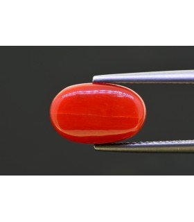 5.08 cts Natural Coral - Moonga (SKU:90157660)