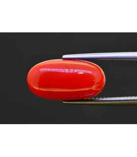 6.69 cts Natural Coral (Moonga)