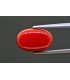 6.62 cts Natural Coral - Moonga (SKU:90157684)