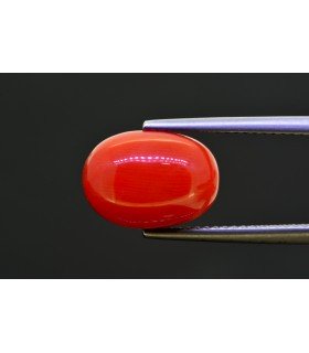 6.68 cts Natural Coral (Moonga)