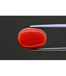 6.68 cts Natural Coral - Moonga (SKU:90157691)