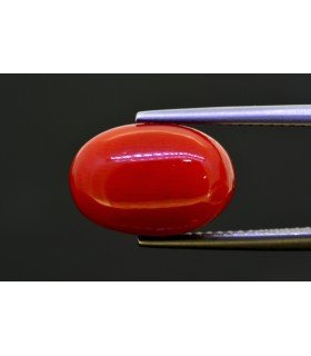 7.29 cts Natural Coral (Moonga)