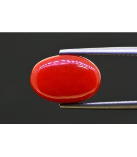 7.29 cts Natural Coral - Moonga (SKU:90157707)