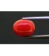 7.23 cts Natural Coral (Moonga)