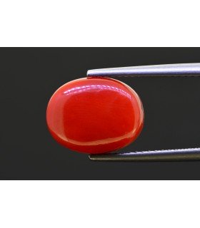 7.23 cts Natural Coral - Moonga (SKU:90157721)