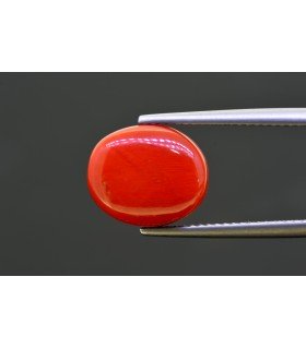 7.61 cts Natural Coral - Moonga (SKU:90157745)