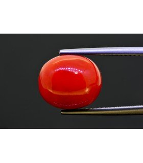 9.41 cts Natural Coral (Moonga)