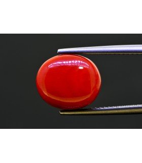 9.41 cts Natural Coral - Moonga (SKU:90157752)