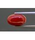 4.6 cts Natural Coral (Moonga)