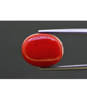 11.75 cts Natural Coral - Moonga (SKU:90157950)