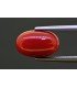 4.84 cts Natural Coral (Moonga)