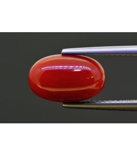 4.84 cts Natural Coral (Moonga)