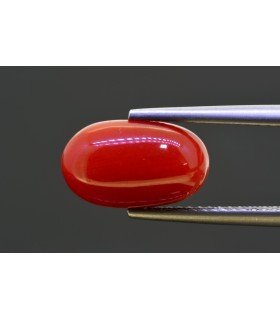 4.56 cts Natural Coral (Moonga)