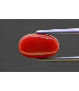 4.56 cts Natural Coral - Moonga (SKU:90158179)