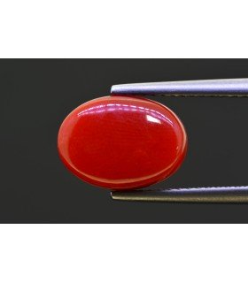 4.95 cts Natural Coral - Moonga (SKU:90158186)