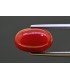 4.89 cts Natural Coral (Moonga)