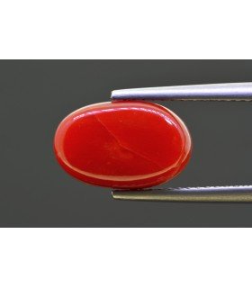 4.89 cts Natural Coral - Moonga (SKU:90158193)