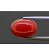 5.52 cts Natural Coral (Moonga)