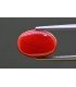 5.52 cts Natural Coral - Moonga (SKU:90158223)