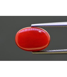 5.52 cts Natural Coral - Moonga (SKU:90158223)