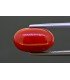 5.81 cts Natural Coral (Moonga)