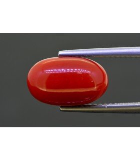 5.81 cts Natural Coral (Moonga)