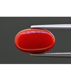 5.81 cts Natural Coral - Moonga (SKU:90158230)