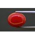 5.94 cts Natural Coral (Moonga)