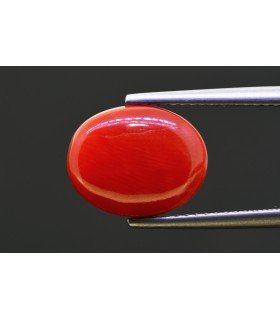 5.94 cts Natural Coral - Moonga (SKU:90158254)