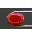 5.93 cts Natural Coral (Moonga)