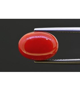 5.35 cts Natural Coral (Moonga)