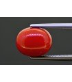 5.31 cts Natural Coral (Moonga)