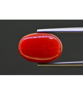 6.02 cts Natural Coral - Moonga (SKU:90158360)