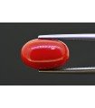 6.71 cts Natural Coral (Moonga)