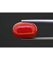 6.59 cts Natural Coral (Moonga)