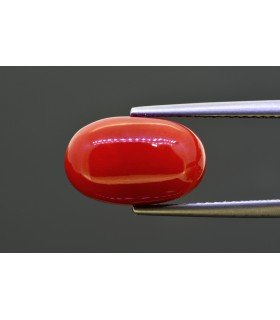 7.13 cts Natural Coral (Moonga)