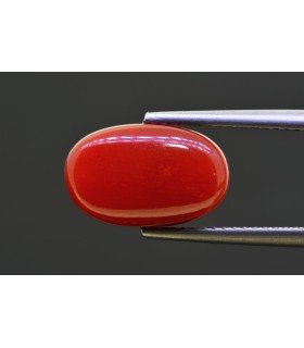 7.13 cts Natural Coral - Moonga (SKU:90158391)