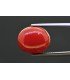 8.72 cts Natural Coral (Moonga)