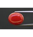 8.72 cts Natural Coral (Moonga)
