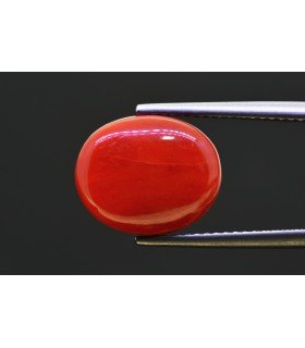 8.72 cts Natural Coral - Moonga (SKU:90158414)