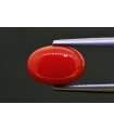 2.97 cts Natural Coral (Moonga)