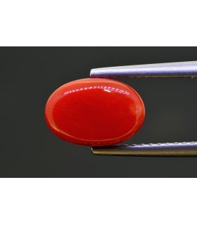 2.97 cts Natural Coral - Moonga (SKU:90159268)