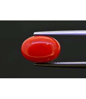 3.83 cts Natural Coral (Moonga)